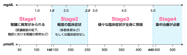 血漿クレアチニン濃度