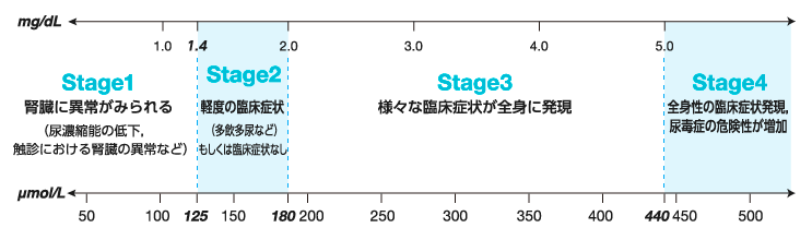 血漿クレアチニン濃度