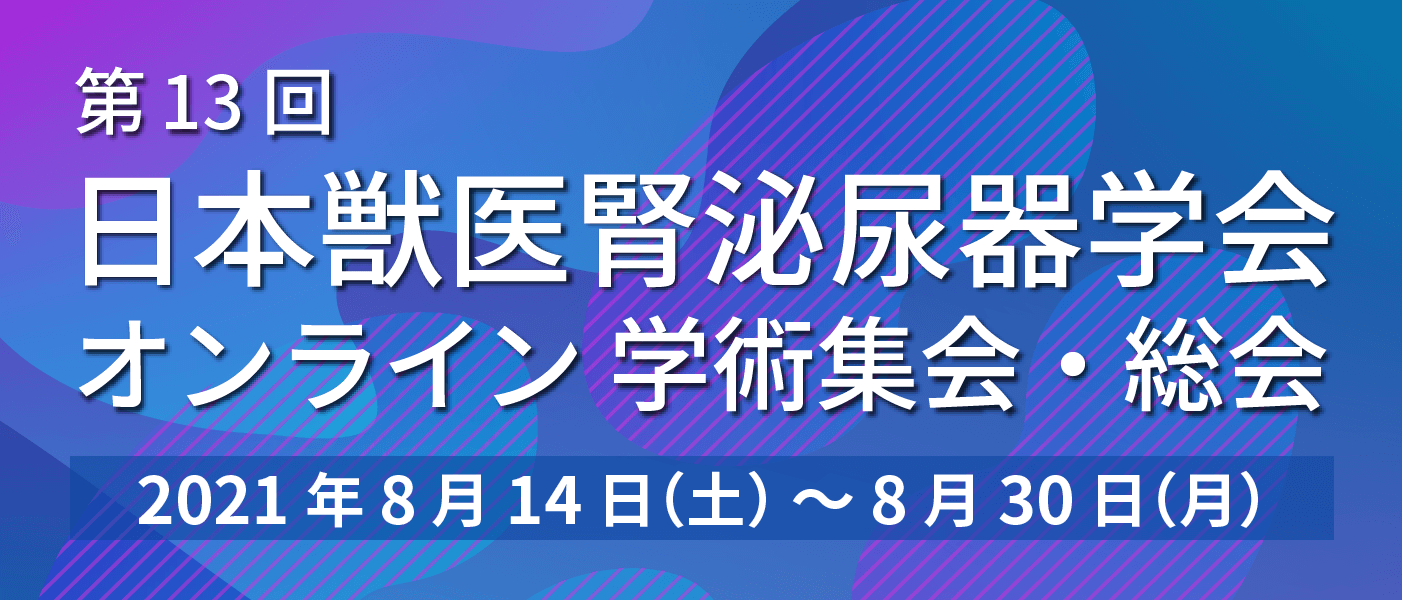 第13回学術集会バナー