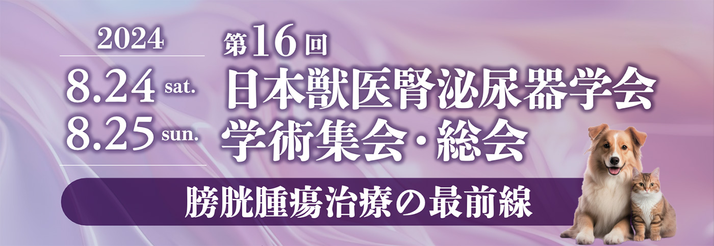 第16回学術集会バナー